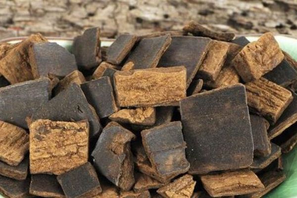 杜仲在鹵水作用