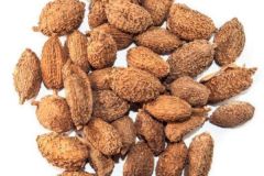 鹵肉用砂仁還是香砂好？