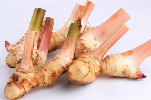 東南亞香料南姜