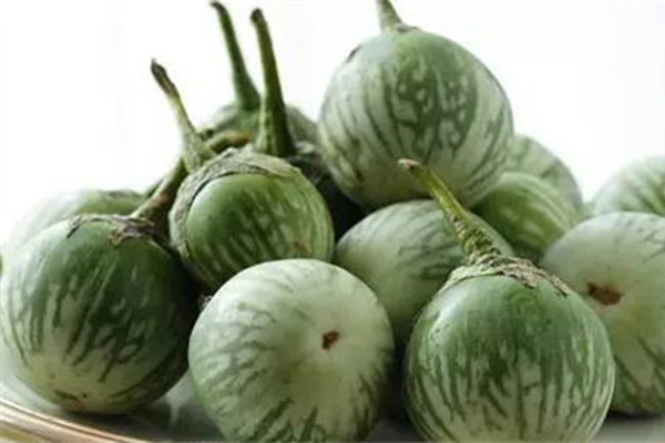 東南亞香料圓茄